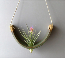 Load image into Gallery viewer, Hanging Air plant Cradle in Gunmetal Green