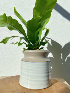 Minimalist Ceramic Pot