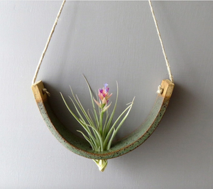 Hanging Air plant Cradle in Gunmetal Green