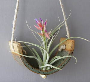 Hanging Air plant Cradle in Gunmetal Green