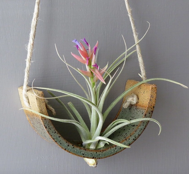 Hanging Air plant Cradle in Gunmetal Green