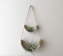 Load image into Gallery viewer, Hanging Air Plant Cradle in White Speckled Buff
