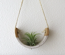 Load image into Gallery viewer, Hanging Air Plant Cradle in White Speckled Buff
