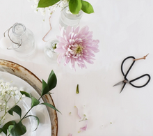 Load image into Gallery viewer, Garden Scissors
