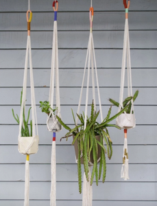 Plant Hangers