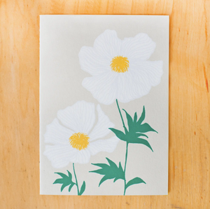 Greeting Cards